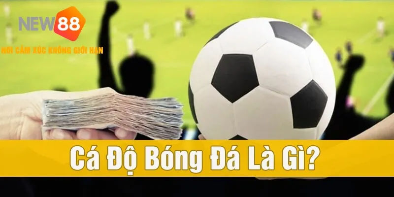 Tìm hiểu sơ về khái niệm cá độ bóng đá
